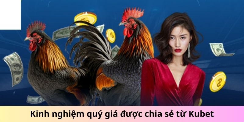 Kinh nghiệm quý giá được chia sẻ từ nhà cái Kubet